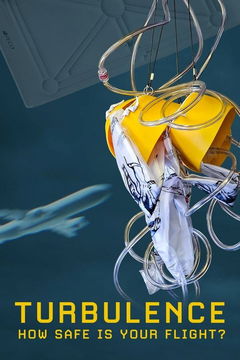 Turbulence: How safe is your flight? (2024)