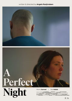 A Perfect Night (2024)