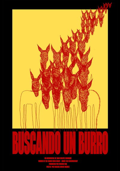 Looking for a donkey