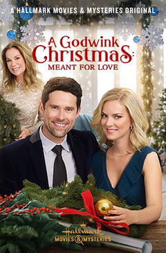A Godwink Christmas: Meant for Love (2019)