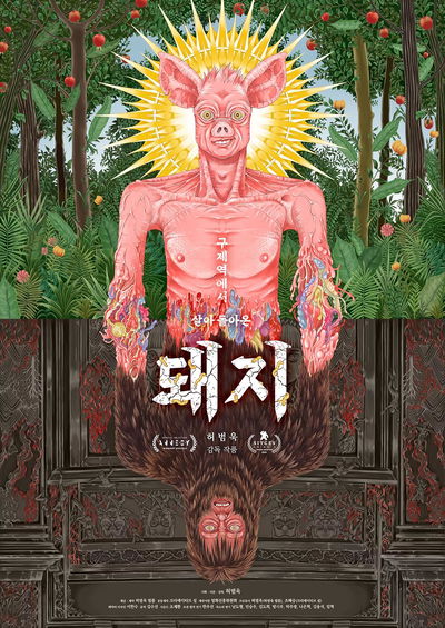 Pig That Survived Foot-and-Mouth Disease