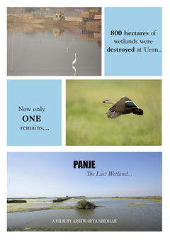 Panje-The Last Wetland (2018)