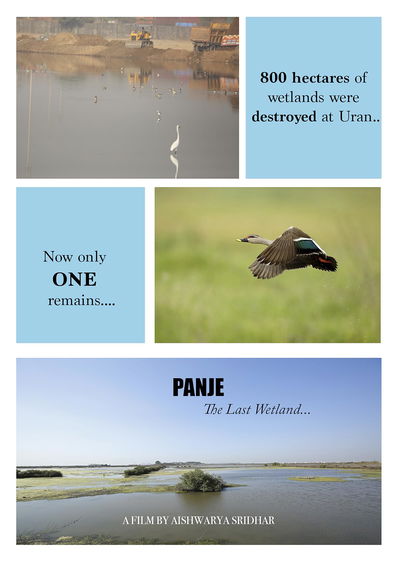 Panje-The Last Wetland