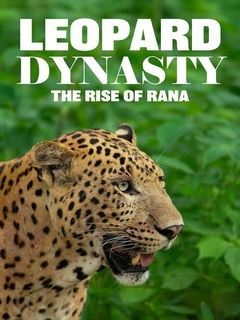 Leopard Dynasty-The Rise of Rana (2025)