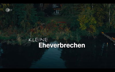 Kleine Eheverbrechen