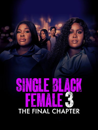 Single Black Female 3: The Final Chapter