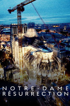 De herrijzenis van de Notre Dame (2024)