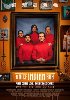 A Nice Indian Boy (2024)