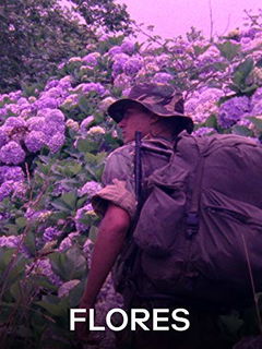 Flores (2017)