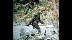 Patterson-Gimlin Film (1967)