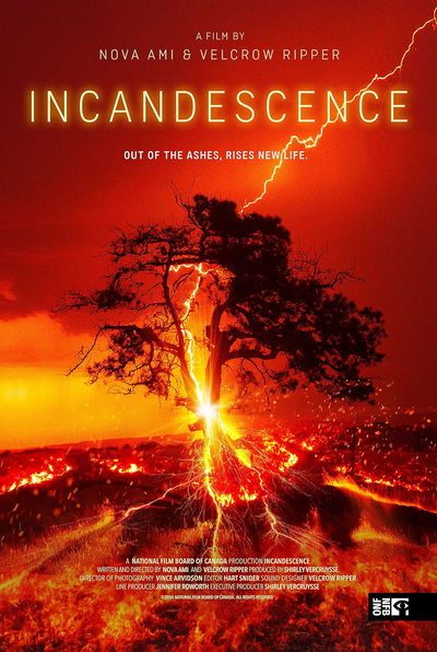 Incandescence