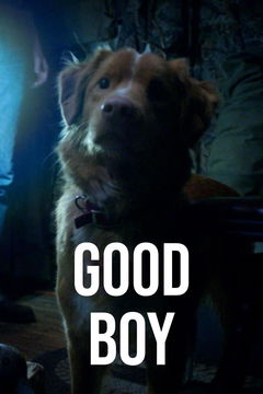 Good Boy (2025)