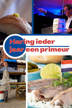 Haring: Ieder Jaar Een Primeur (2025)