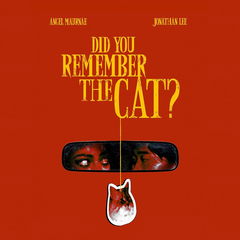 Did You Remember the Cat