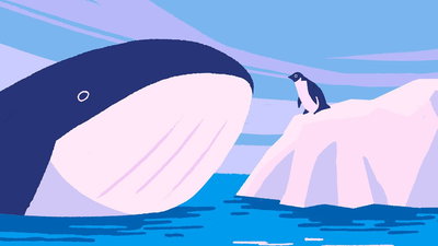 Penguin & Whale