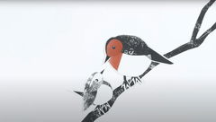 The Robin and the Wren (2023)