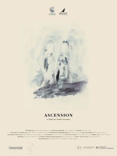 Ascensão (2016)