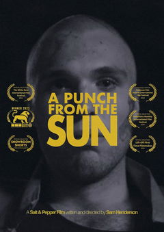 A Punch from the Sun (2024)