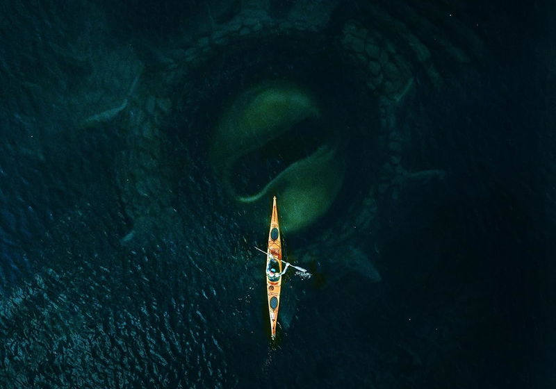 Beste Thrillers 2026 (films in het genre thriller)