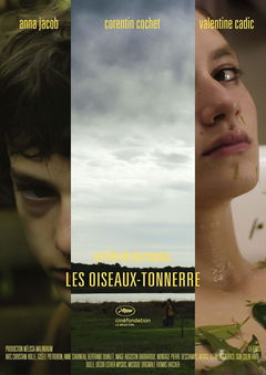 Les oiseaux-tonnerre (2014)