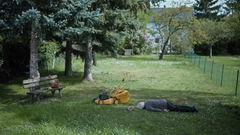 Die letzte Wette (2024)