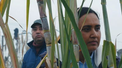Historias del buen valle