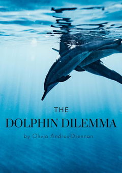The Dolphin Dilemma (2024)