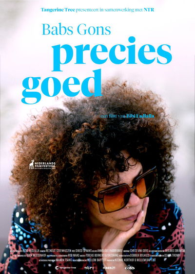 Babs Gons - Precies Goed