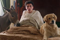 A Árvore do Conhecimento (2025)