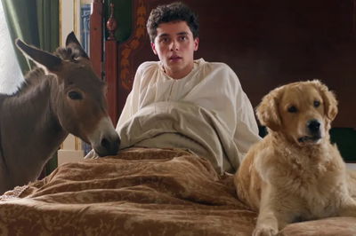 A Árvore do Conhecimento