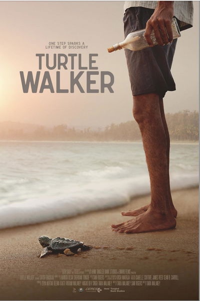 Turtle Walker