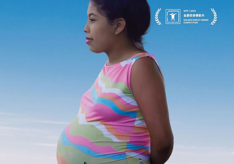 Top 20 Beste Documentaires 2023 op NPO Start &amp; Plus (november 2025)