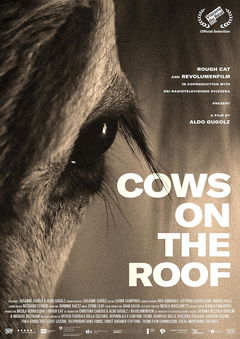 Cows on the Roof (2020)