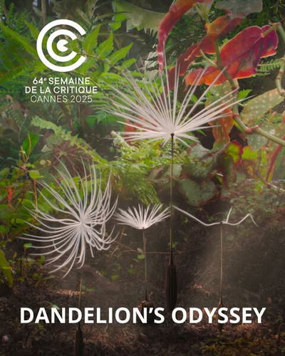 Dandelion's Odyssey