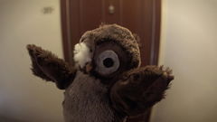Berny (2013)