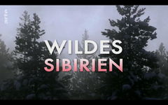 Siberia's Wild Year (2017)