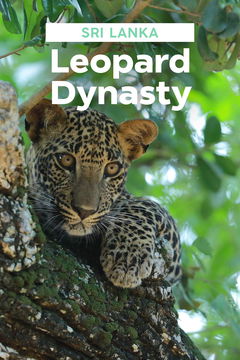 Sri Lanka: Leopard Dynasty (2022)