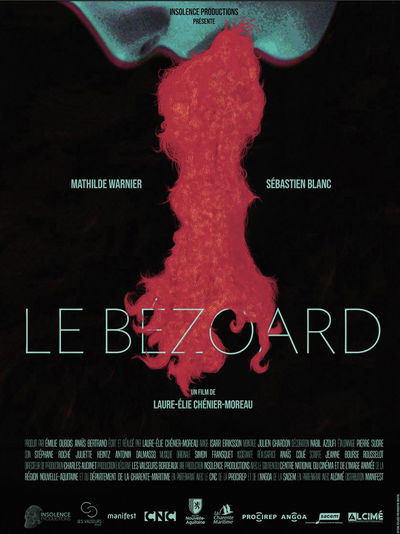 Le Bézoard