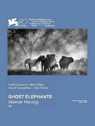 Ghost Elephants