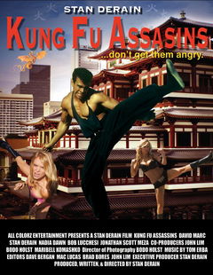 Kung Fu Assassins (2007)