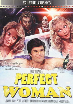 The Perfect Woman (1981)
