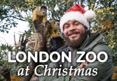 London Zoo at Christmas (2022)