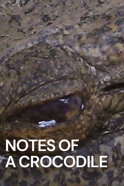 Notes of a Crocodile