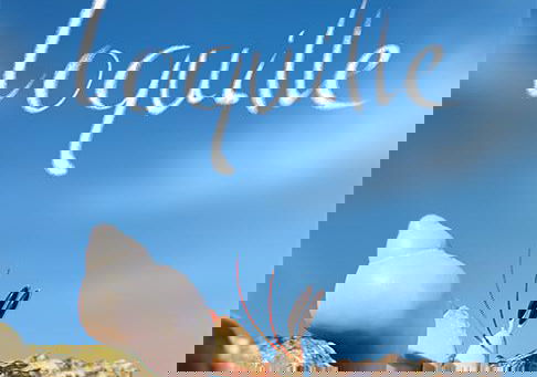 Top 20 Beste Korte Films 2023 op Disney+ (januari 2026)