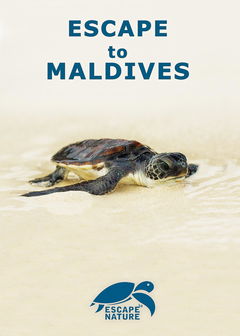 Escape to Maldives (2015)