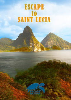 Escape to Saint Lucia (2013)