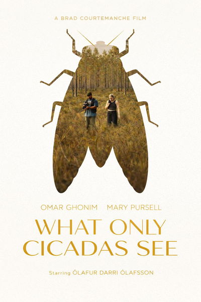 What Only Cicadas See