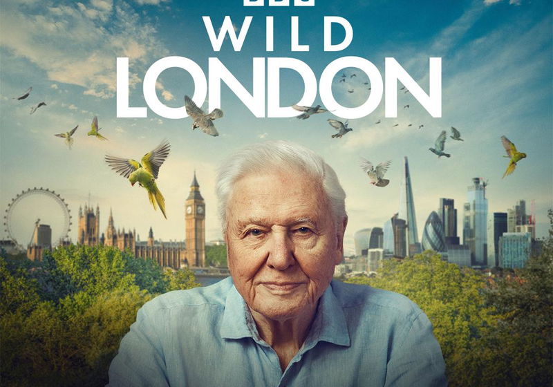 Beste Documentaires 2026 (films in het genre documentaire)