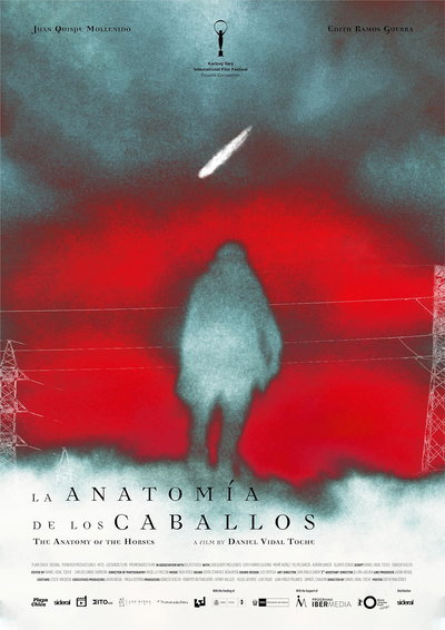 La anatomía de los caballos