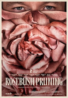 Rosebush Pruning (2026)